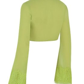 Tara Lime Green Georgette Cropped Top - Image 3