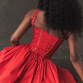Pietra Cherry Corset Mini Dress - Image 16