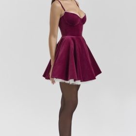Minimoiselle Burgundy Velvet Tulle Mini Dress - Image 8